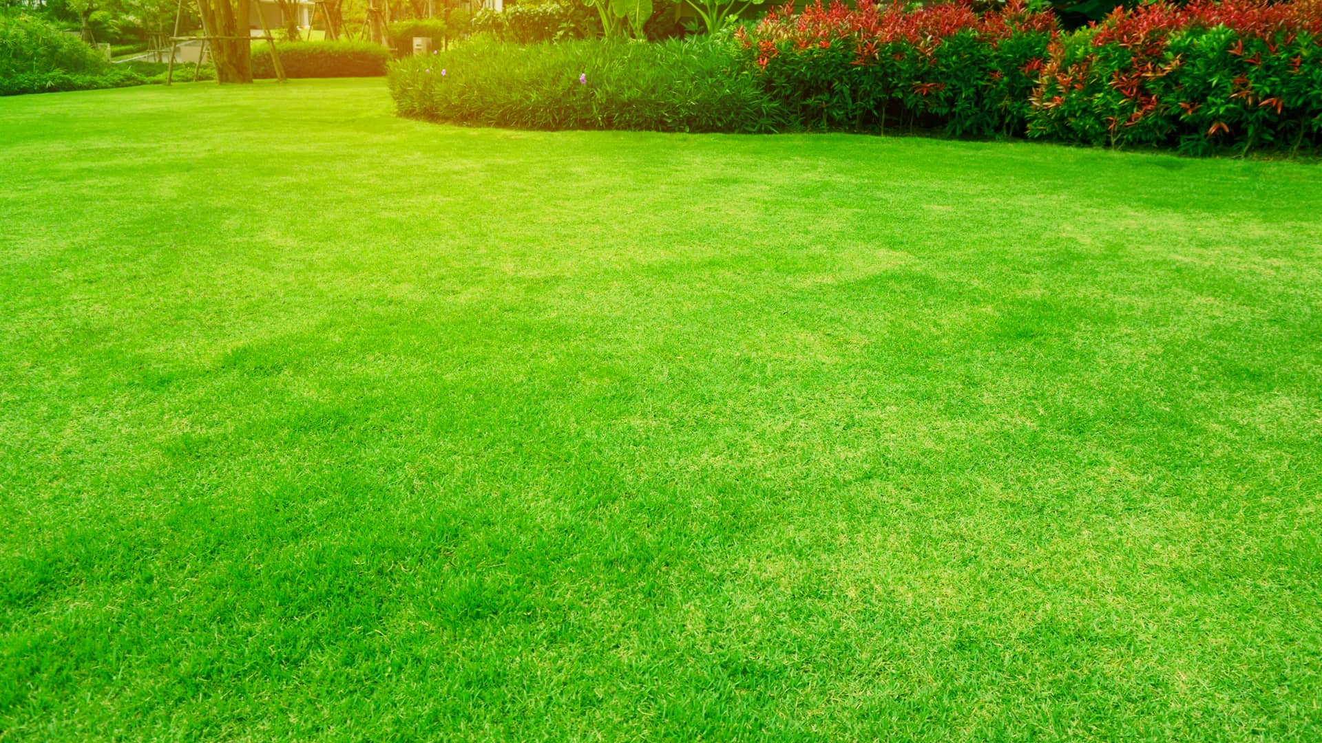 Lawn Care Banner Image