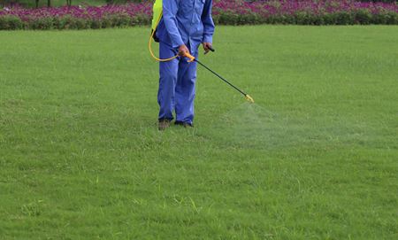 Defend Your Lawn: Effective Lawn Insect Control Strategies Thumbnail