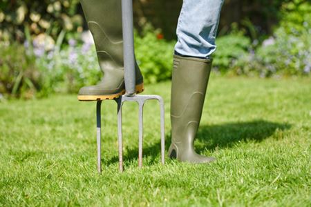 Why Lawn Aeration Is Essential for a Healthy Lawn Thumbnail