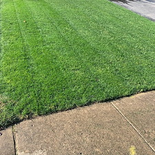 03 complete lawn renovation cincinnati