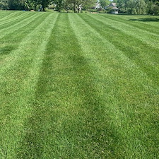 Elevate-Your-Lawn-with-Advanced-Nutrient-Lawn-Services-Quality-Lawn-Fertilization-in-Springboro-Ohio 0