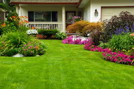 Lawn Treatment Programs