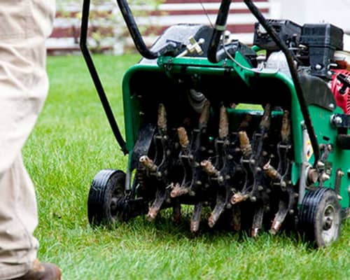 Aeration and Overseeding Image