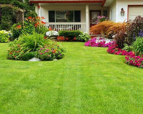 Lawn Renovations Image